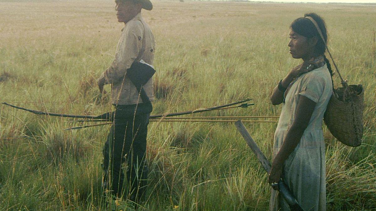 fe148575-9e21-4132-8a52-06eee0c205e1_16-9-discover-aspect-ratio_default_0