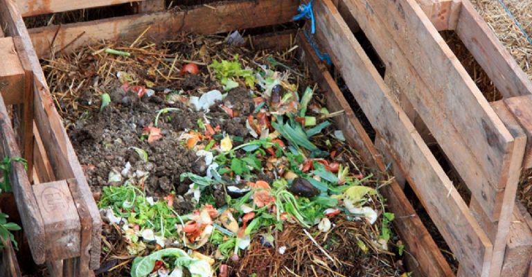 f768x400-1003658_1047561_5050