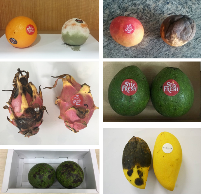 Screenshot_2021-04-15-StixFresh-Stickers-that-keep-your-fruit-FRESH-