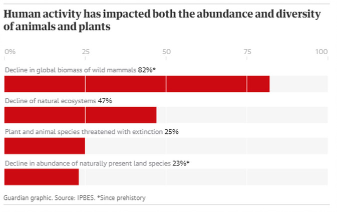 11c77a_6a46a35b9d284799895b34df7b67ff7a_mv2