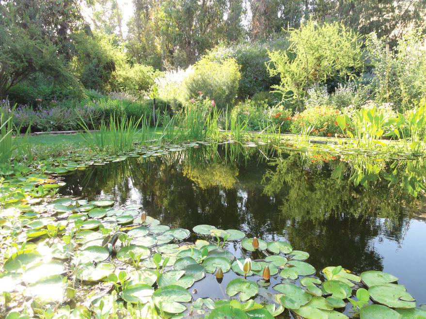 QDXX2MTIABHALMBSXRT32VGE7I