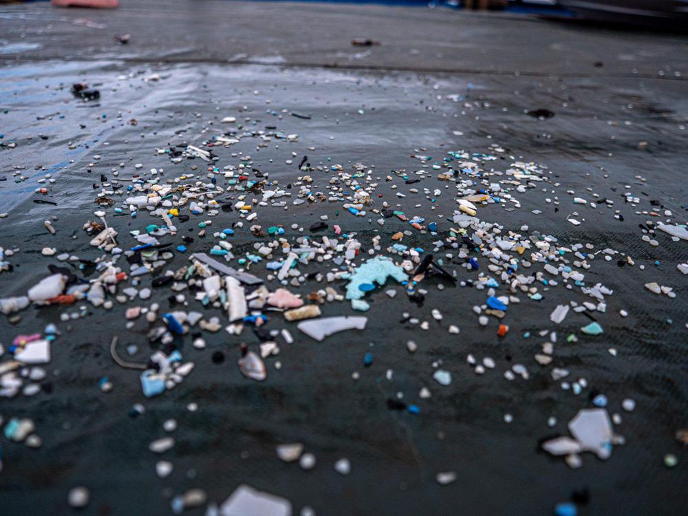 microplasticos.05-05-2021.medio-ambiente-1536x1152