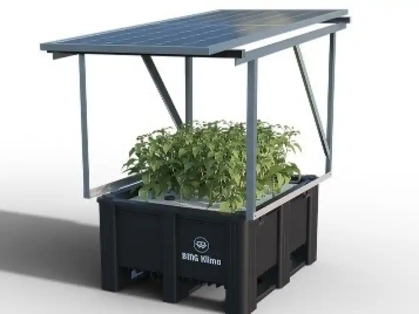 799430528_236550342_854x640