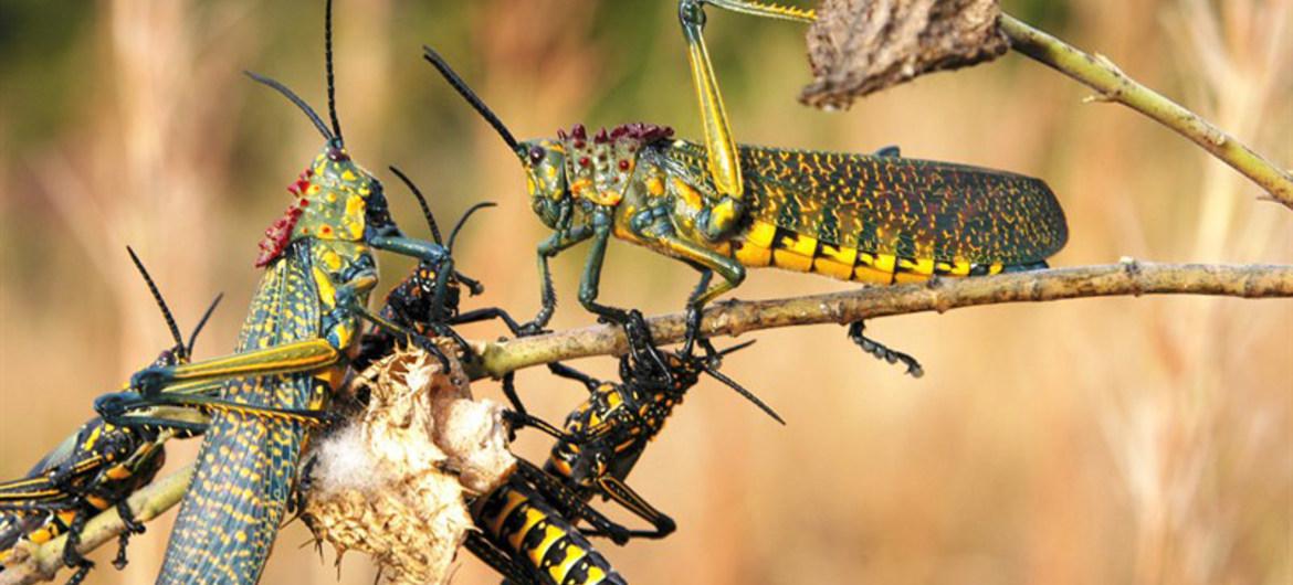 image1170x530cropped (1)