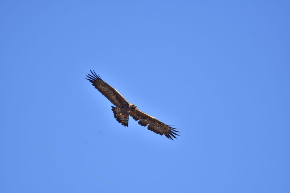 photo-2022-04-19-21-30-43