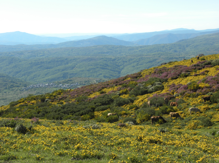 captura-de-pantalla-2022-04-21-a-las-23.10.03