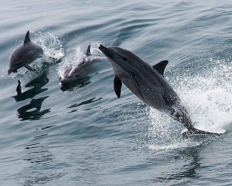 img_20200302_1102018788450686502805455