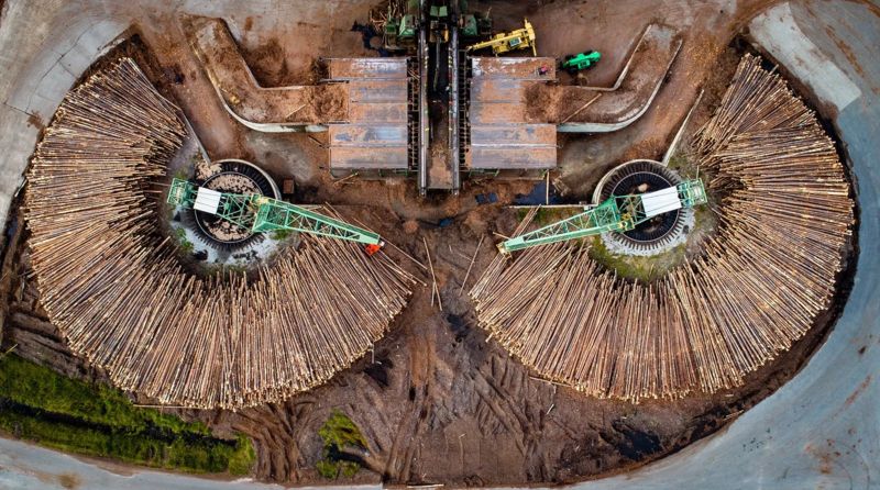 _128222455_lignina02