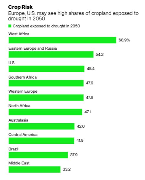 11c77a_9ec4338f98f045af8e68dddca9374a3a_mv2
