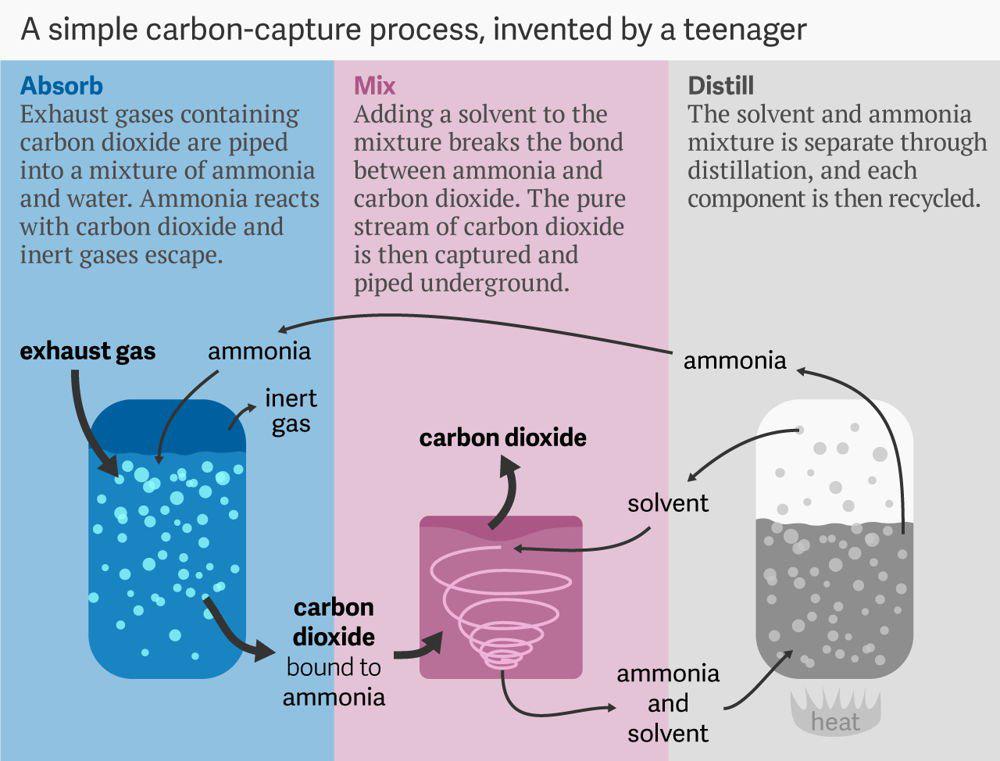 Mecanismo-permite-capturar-CO2