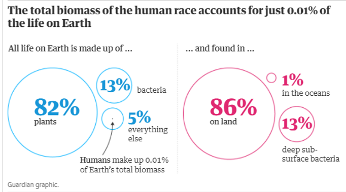 11c77a_225f04bd8cf14f8eacc9a1dee686f12c_mv2