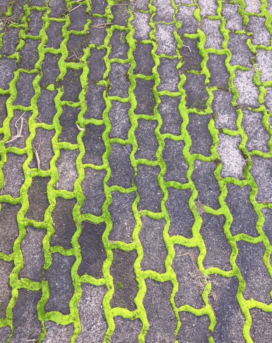 Captura-de-Pantalla-2020-06-26-a-las-13.48.04