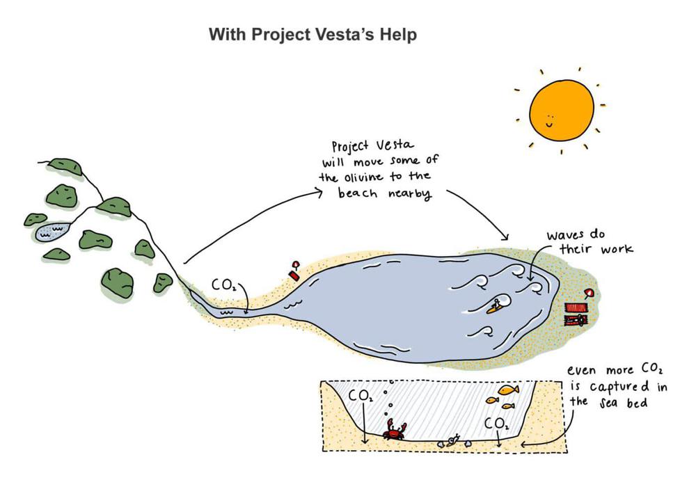 Project-vesta-way-carbon-dioxide-removal-enhanced-weathering-process-accelerating-carbon-cycle-1400x985-1