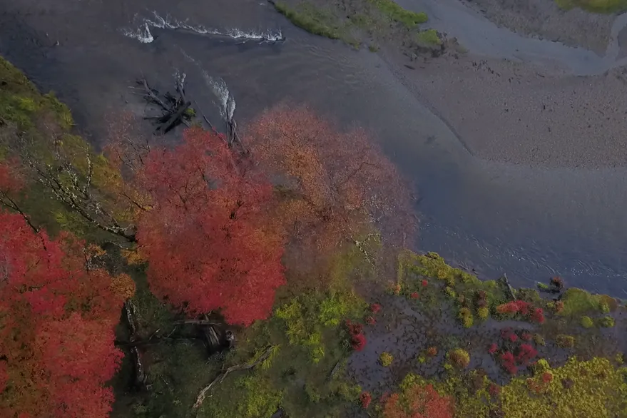 UBII36UGHBGJLPPKJHZIFUDPX4