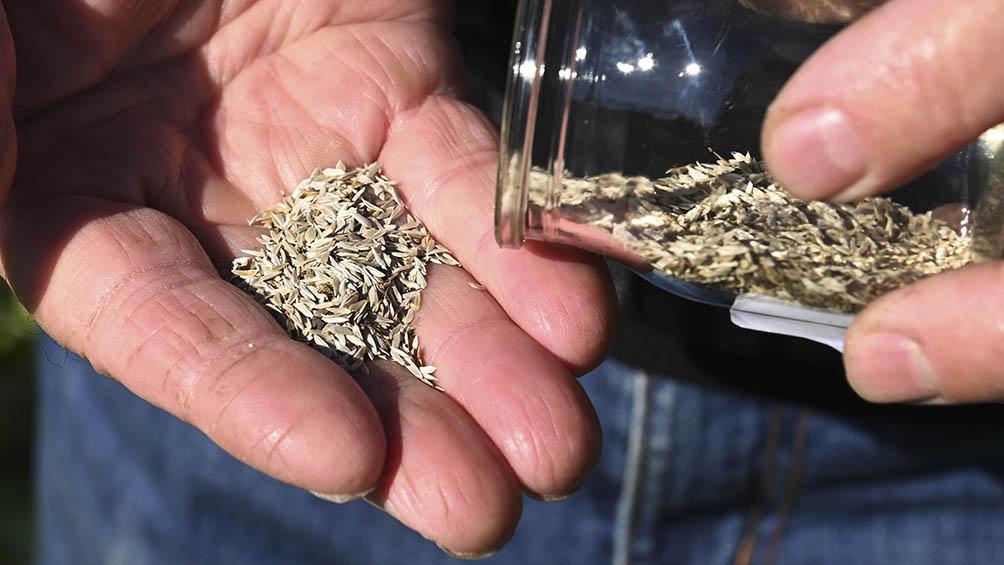 608ec59f76ec7_1004x565