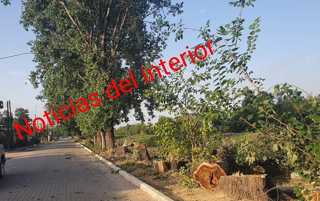 WhatsApp Image 2019-12-27 at 18.28.51