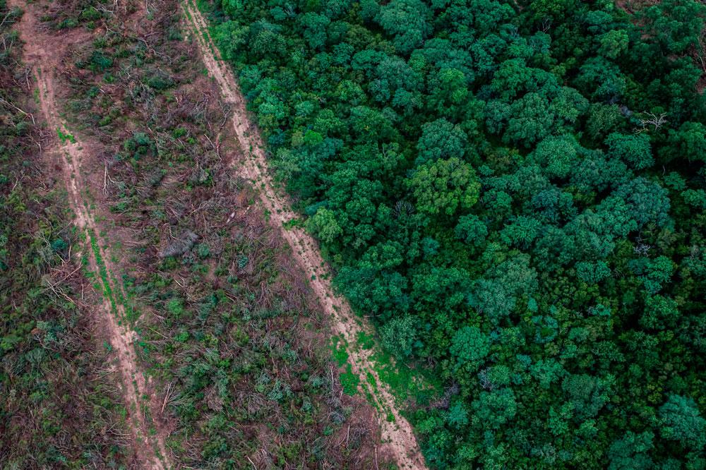 una-imagen-aerea-muestra-el-antes-y-el-despues-del-desmonte