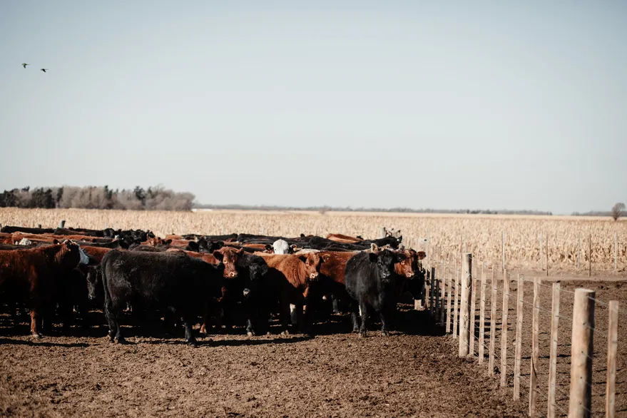 55EC7VBAAZFCRB5TRMJO7BOTYE