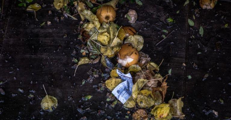 f768x400-1158141_1202044_5050