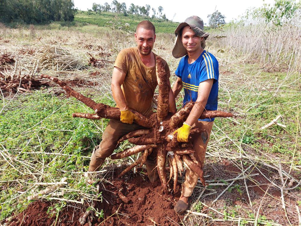 productor-misionero-de-wanda-3