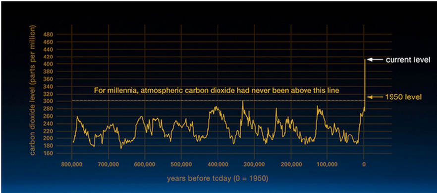 11c77a_a14c8f202b3b4ce8a83a77031b664536_mv2