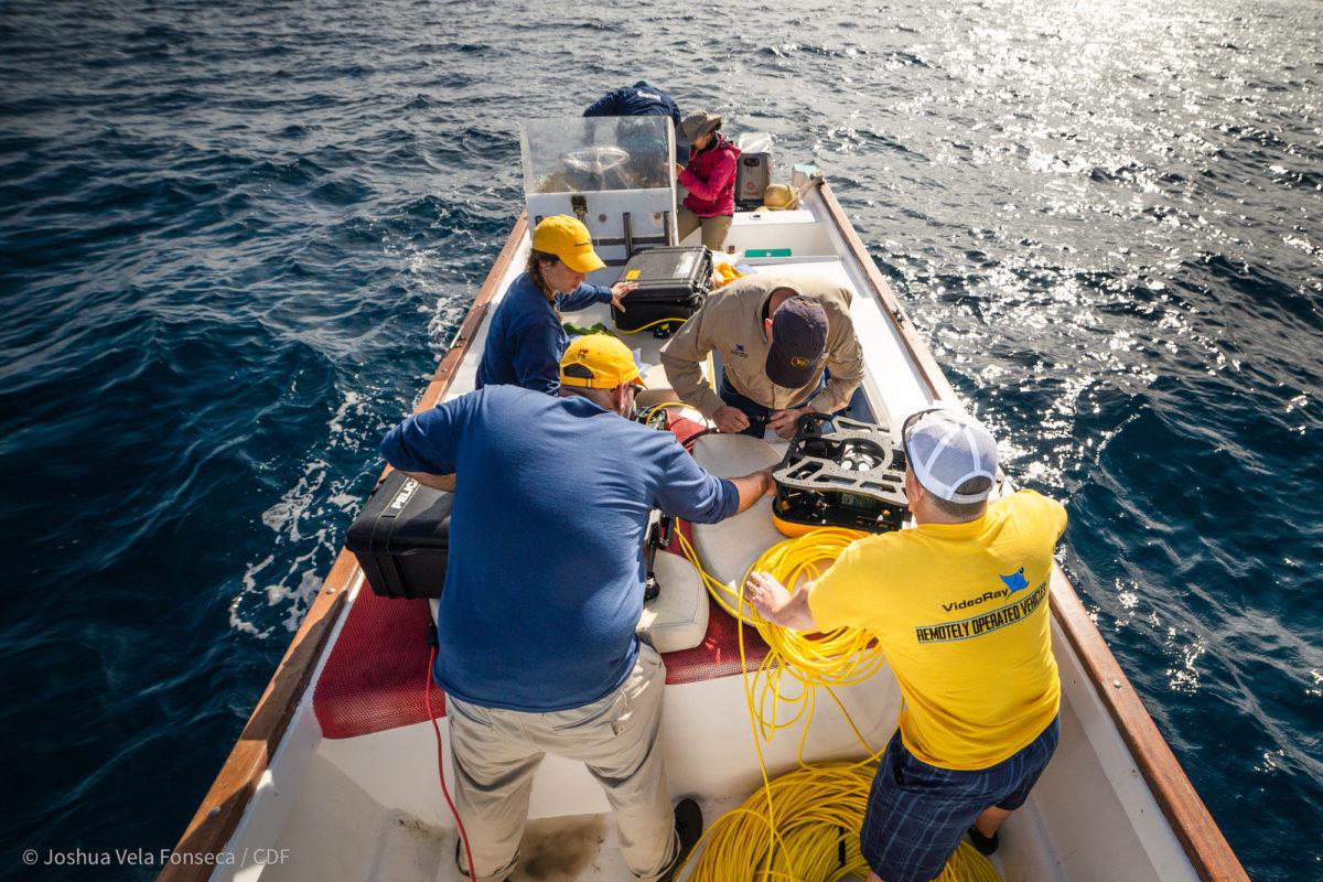 ©-Joshua-Vela-FCD3-1200x800