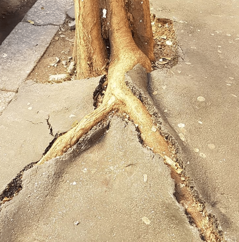 Captura-de-Pantalla-2020-06-26-a-las-13.51.47