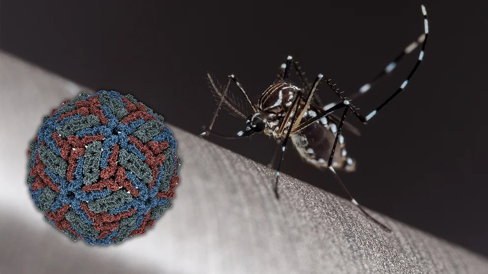 6X7JQSRW4RHLXIQLIPG3TW2ZBY