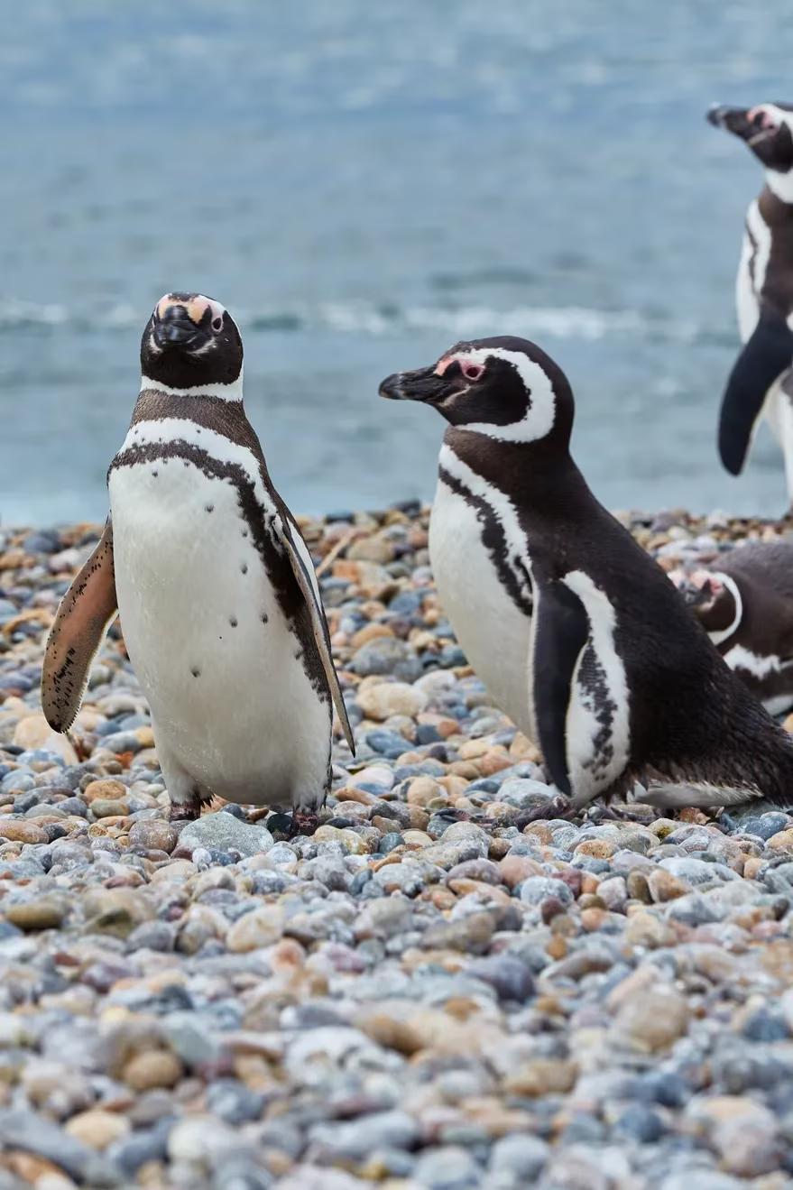 TGKP2BHNZZF2RHWVF7U5PK63TQ