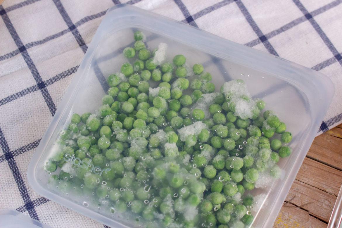 congelado-zero-waste-3