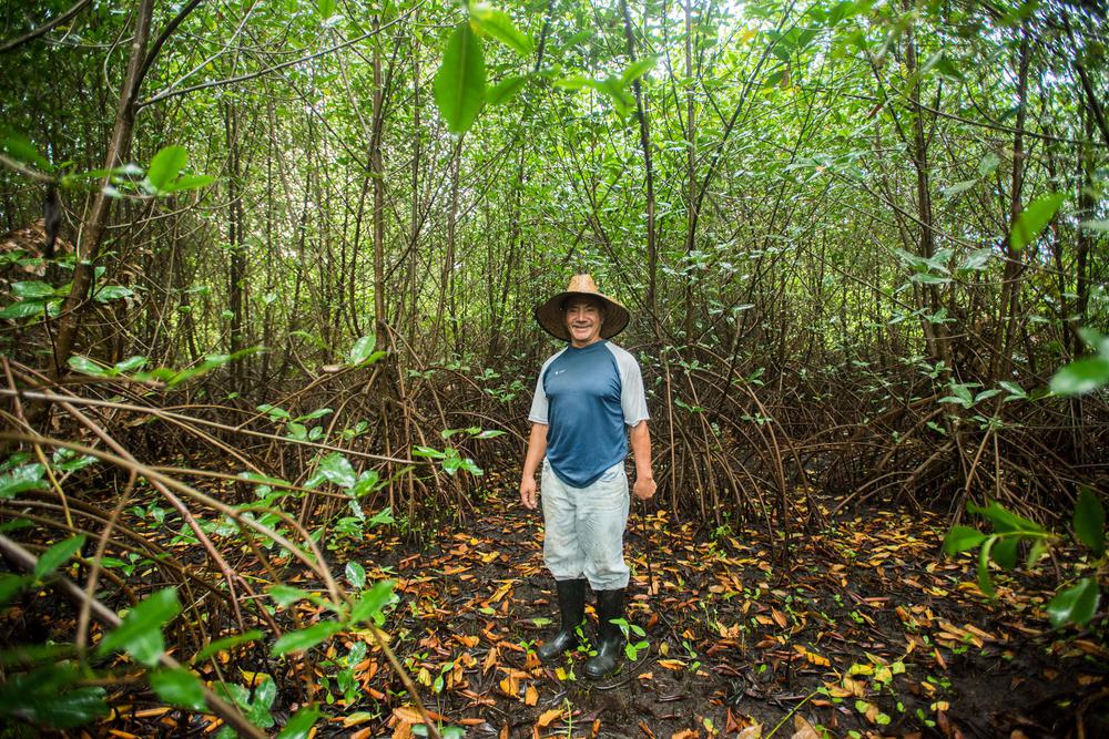 c3ad33e4-726c-446c-b98f-d1f3272189e6