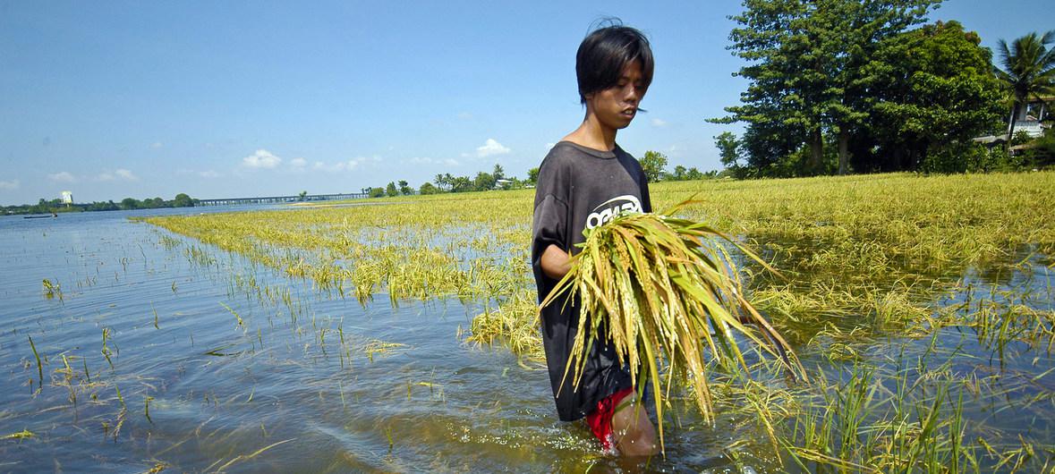 image1170x530cropped (4)