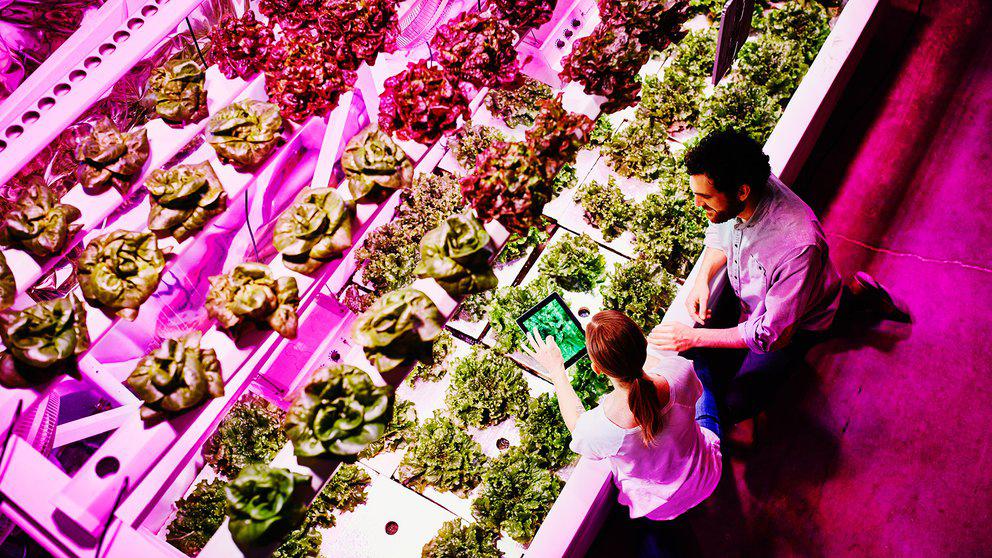 FUOCRI36YNFDXAV4J6ZPH5ZWQA