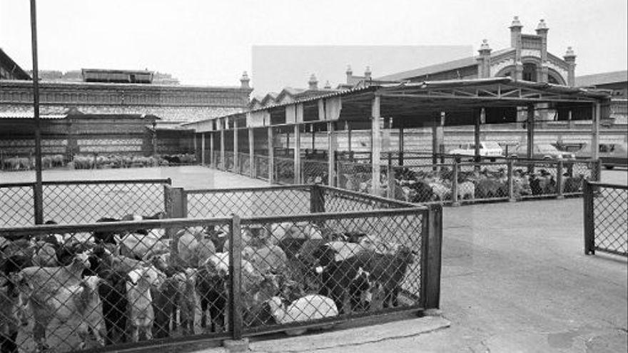 d7c82613-0276-45f5-847e-ffe0d5eb3baf_16-9-aspect-ratio_default_0