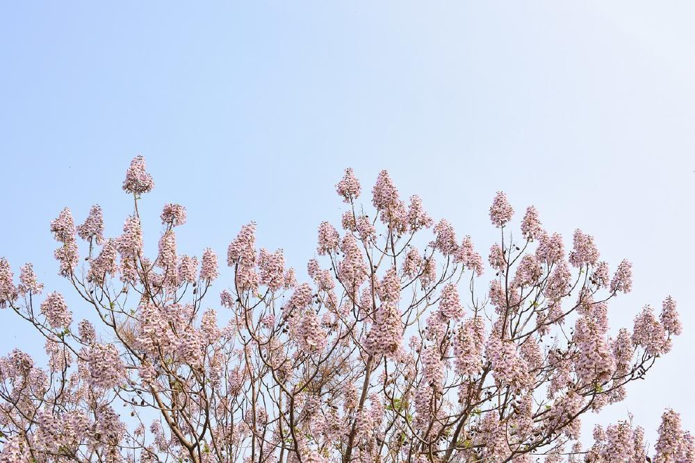 1685541894_archive_AdobeStock_144794137_rz1000