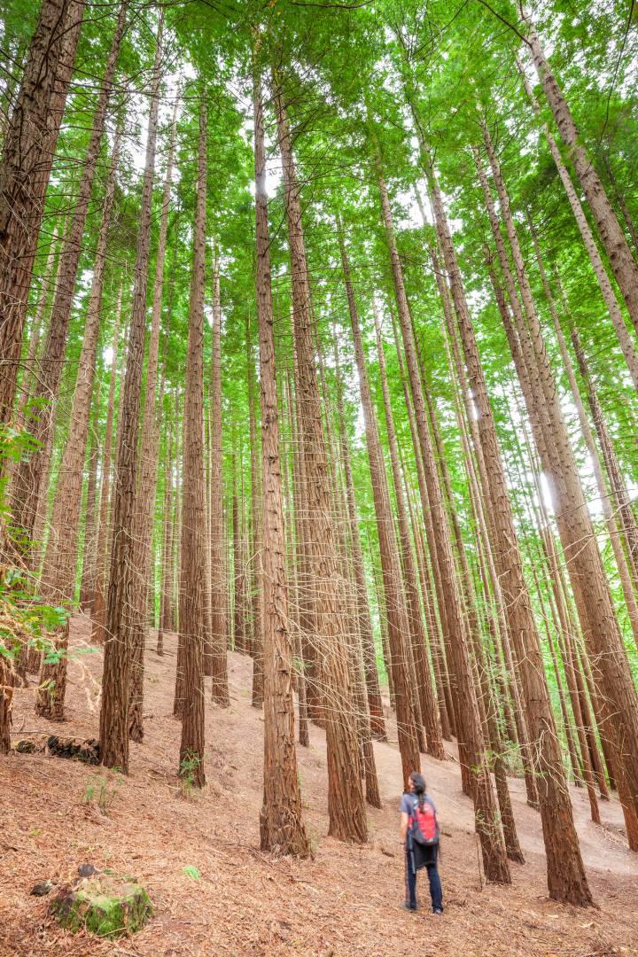 1582799291_408074_1582807897_sumario_normal_recorte1