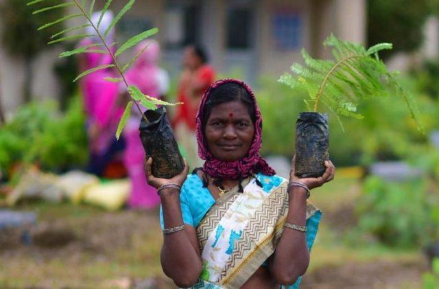 Plantacion-arboles-India3-e1594138128166