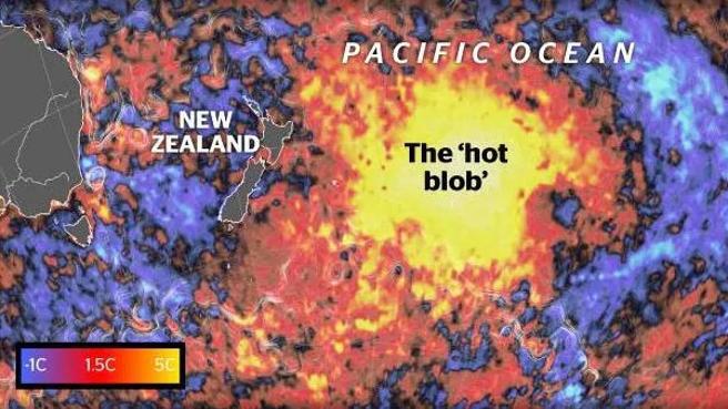 img_jelcacho_20191227-091258_imagenes_lv_terceros_hot_1-464-k46D--656x369@LaVanguardia-Web