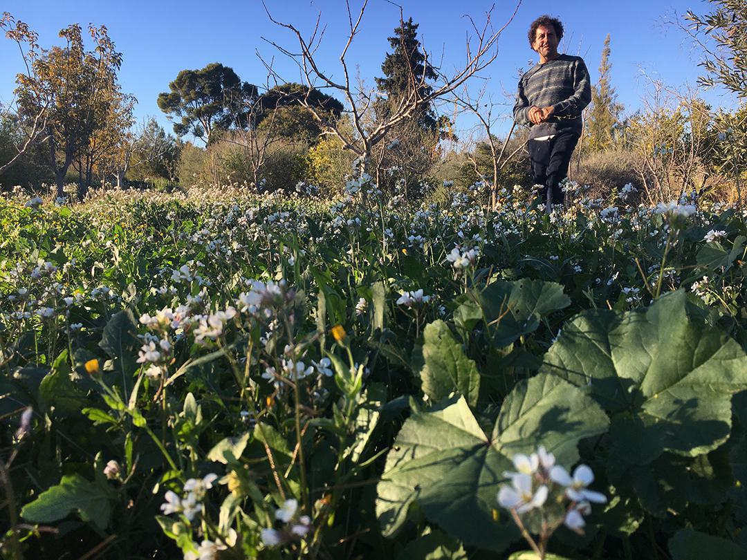 Carlets-y-su-cubierta