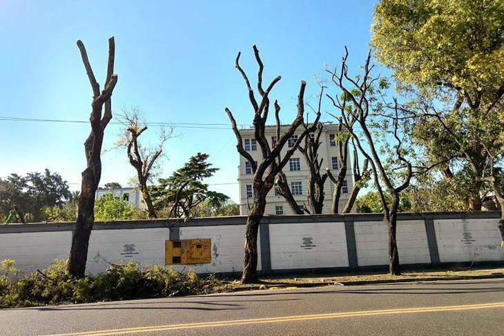 cf6be964cd79254cb1ca8b076a24b8e1_MAIN