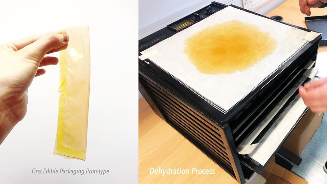 envases-algas-proceso