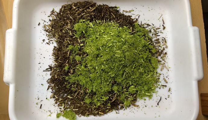 IMG_20171106_150431829_opt