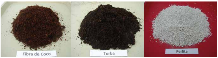 375877ae-huertasurbanas122