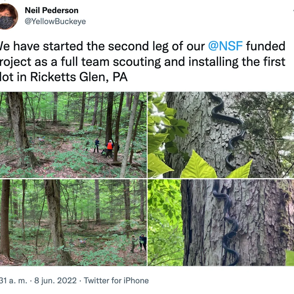 DVGBNEXL6BBO7HX47CEWGMJELQ