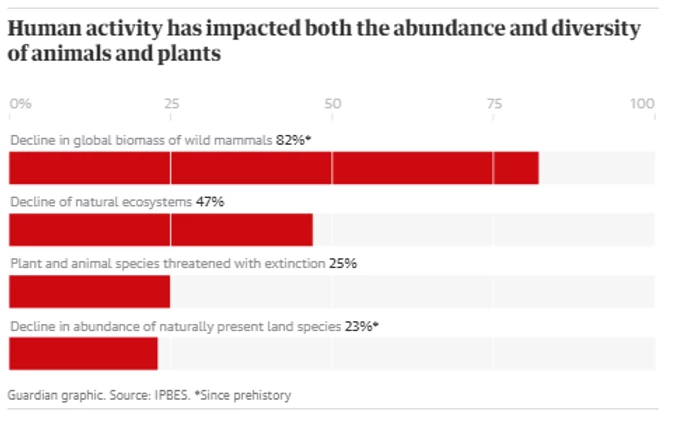 11c77a_6a46a35b9d284799895b34df7b67ff7a_mv2