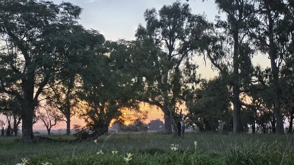 2SLMOXCFPJHNRNUJZ45TARHADA