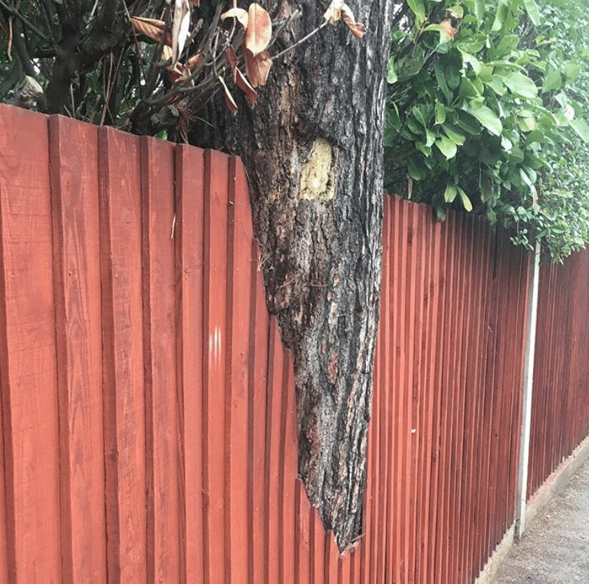 Captura-de-Pantalla-2020-06-26-a-las-13.50.17