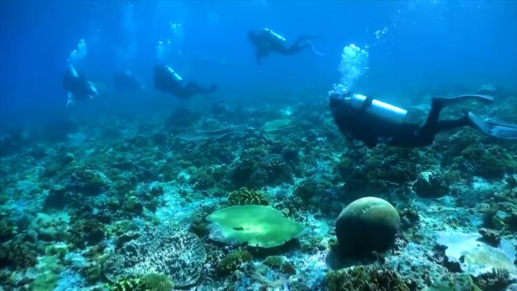 3Q7RULRCOFF4JJCFVWFCK3ZGG4