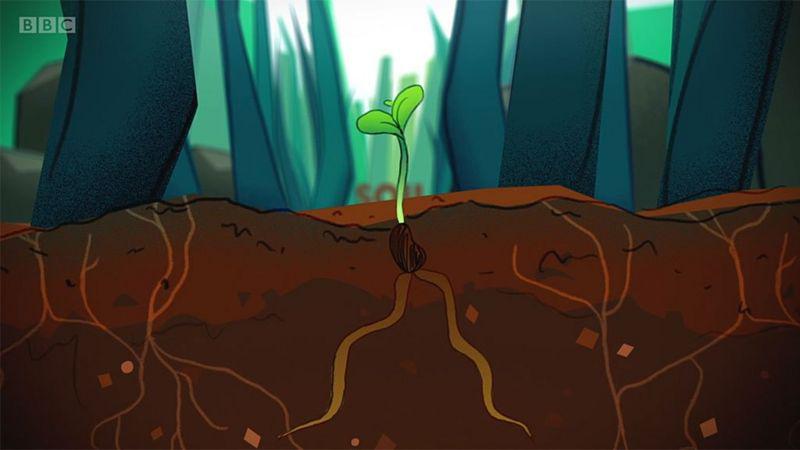 _116095486_tierra-bonita