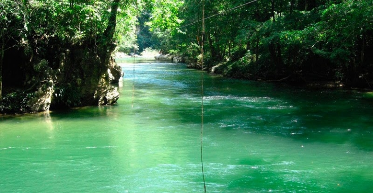 f768x1-1257225_1257352_5050